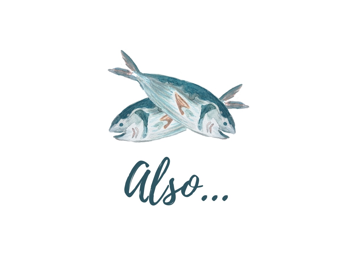 watercolour logo-style picture of two fish in saltire; the word "also" is below.